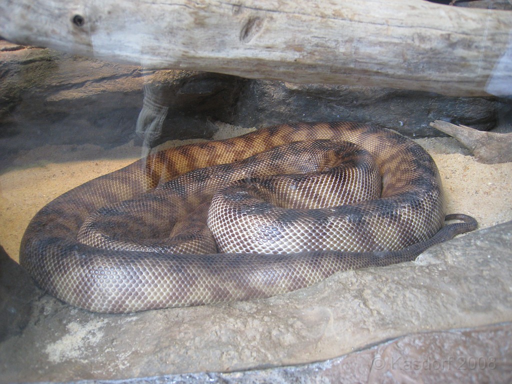 Baltimore MD 2009 2000.jpg - A 4th of July trip to Washington DC in 2009 included a stop in Baltimore MD to see the National Aquarium.